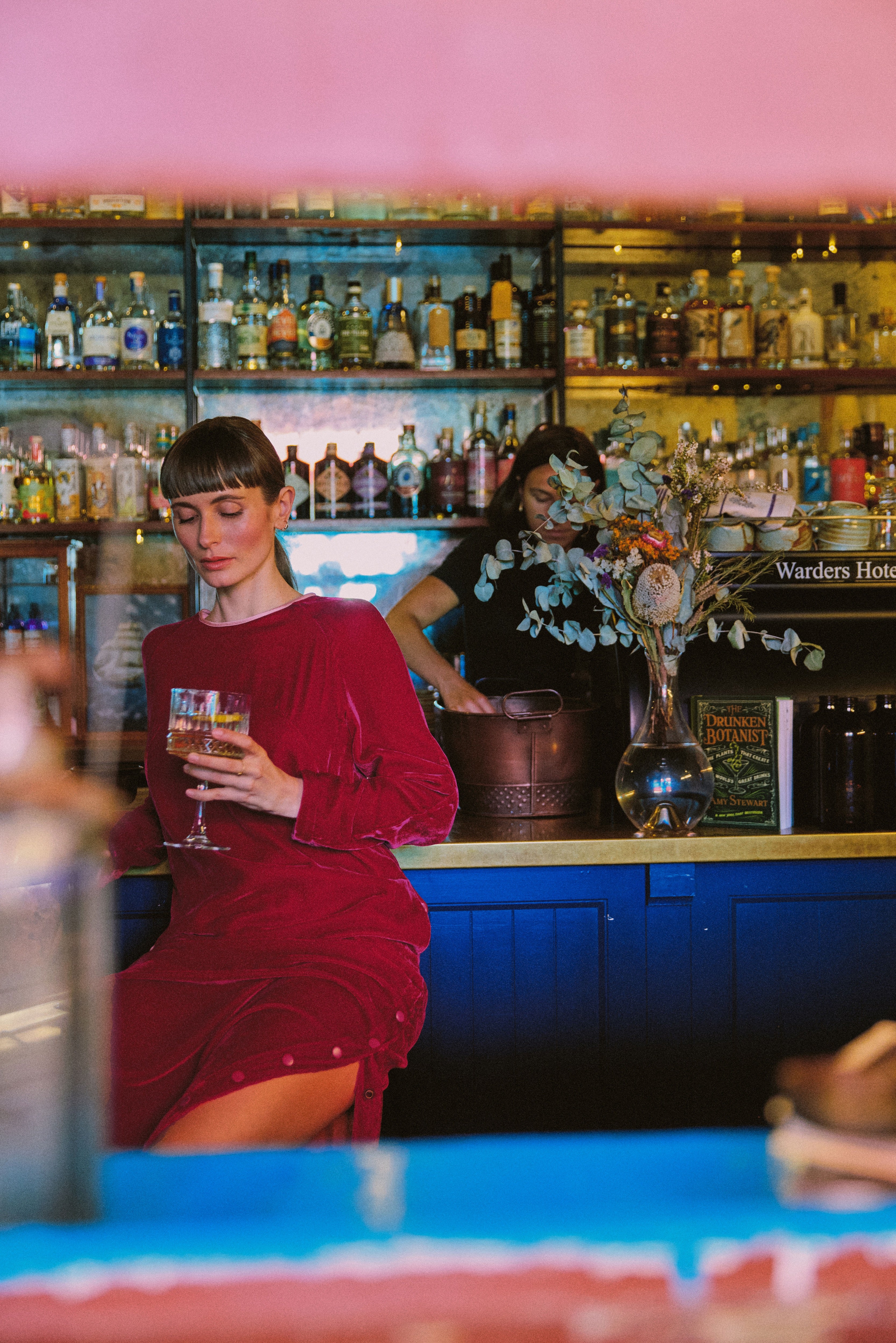 Aude Silk Velvet Dress