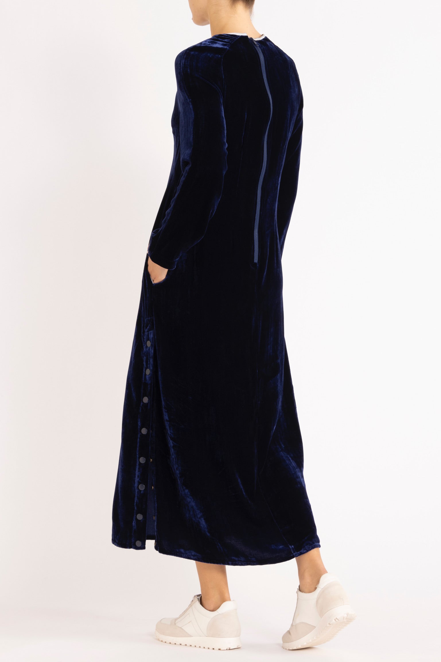 Aude Silk Velvet Dress