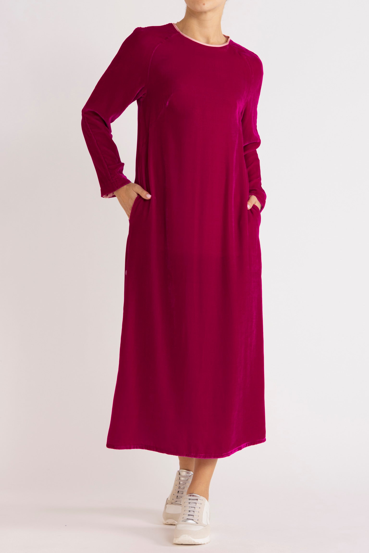 Aude Silk Velvet Dress
