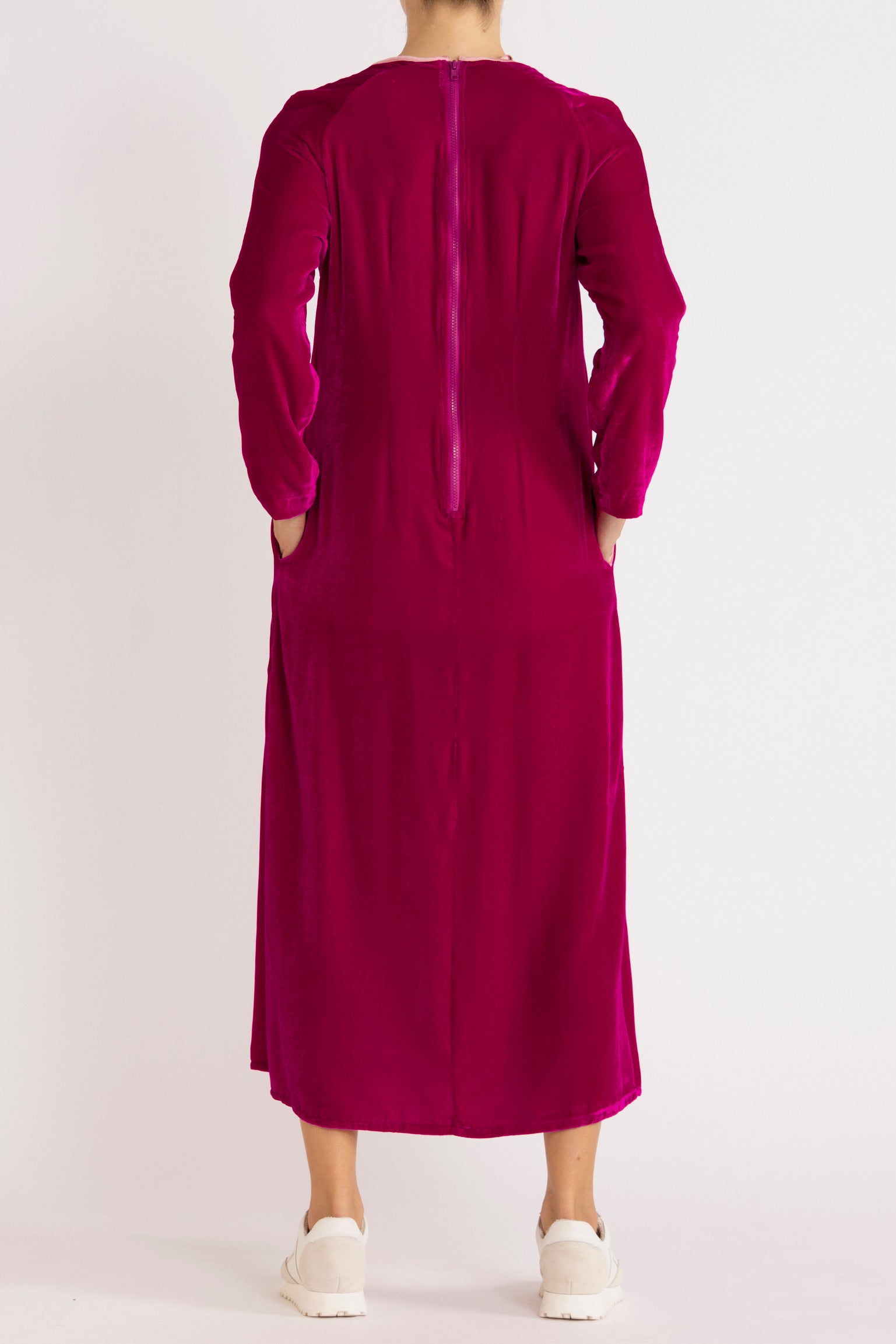 Aude Silk Velvet Dress