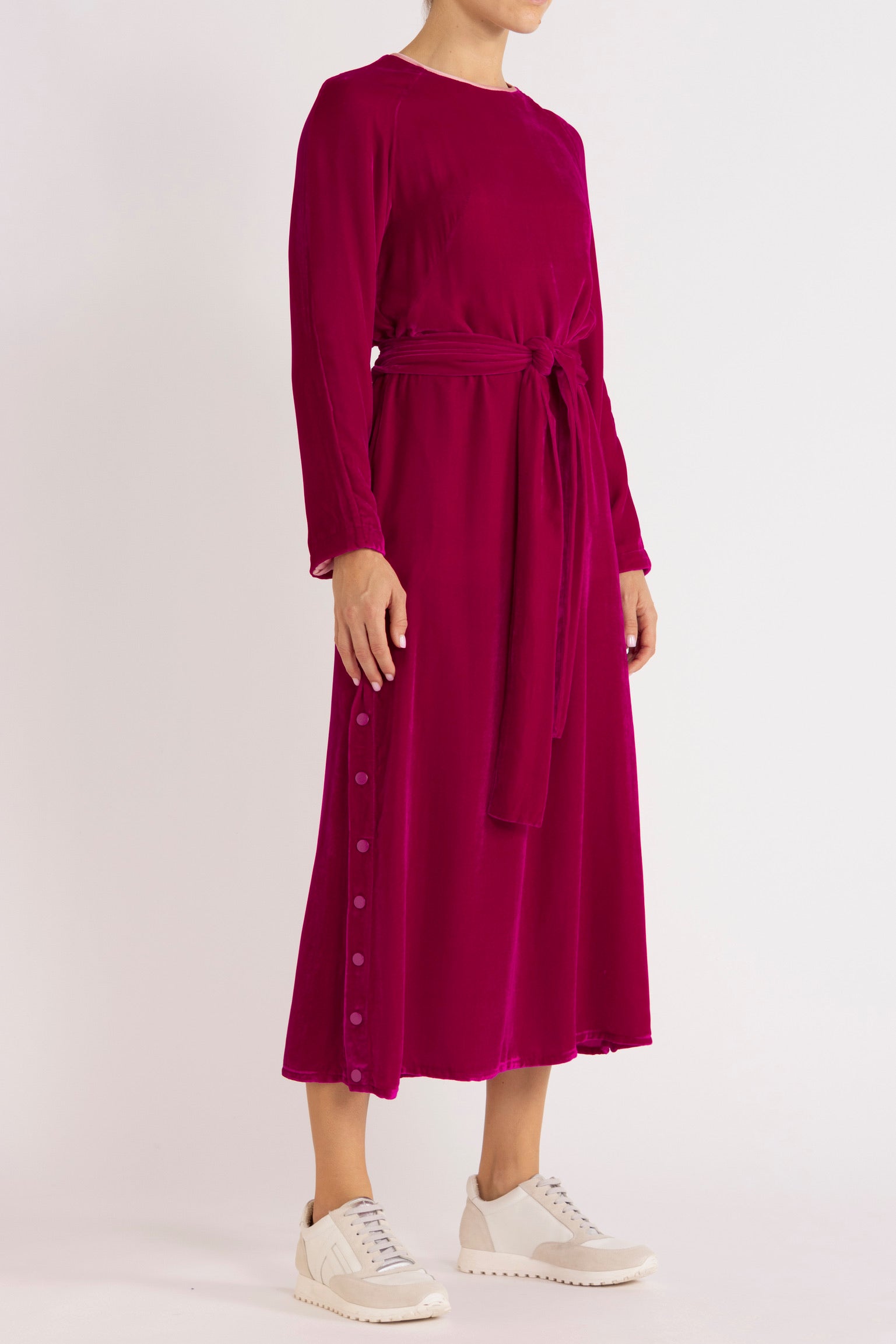 Aude Silk Velvet Dress