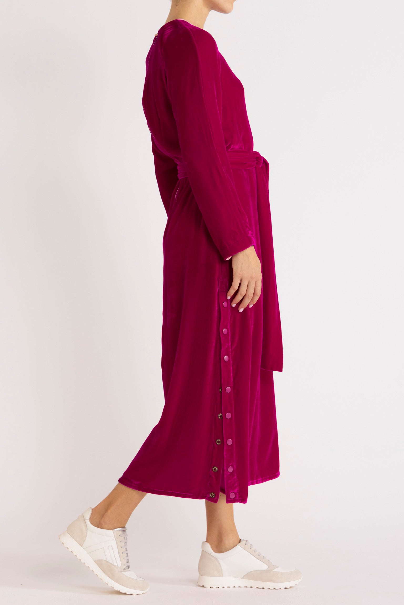 Aude Silk Velvet Dress