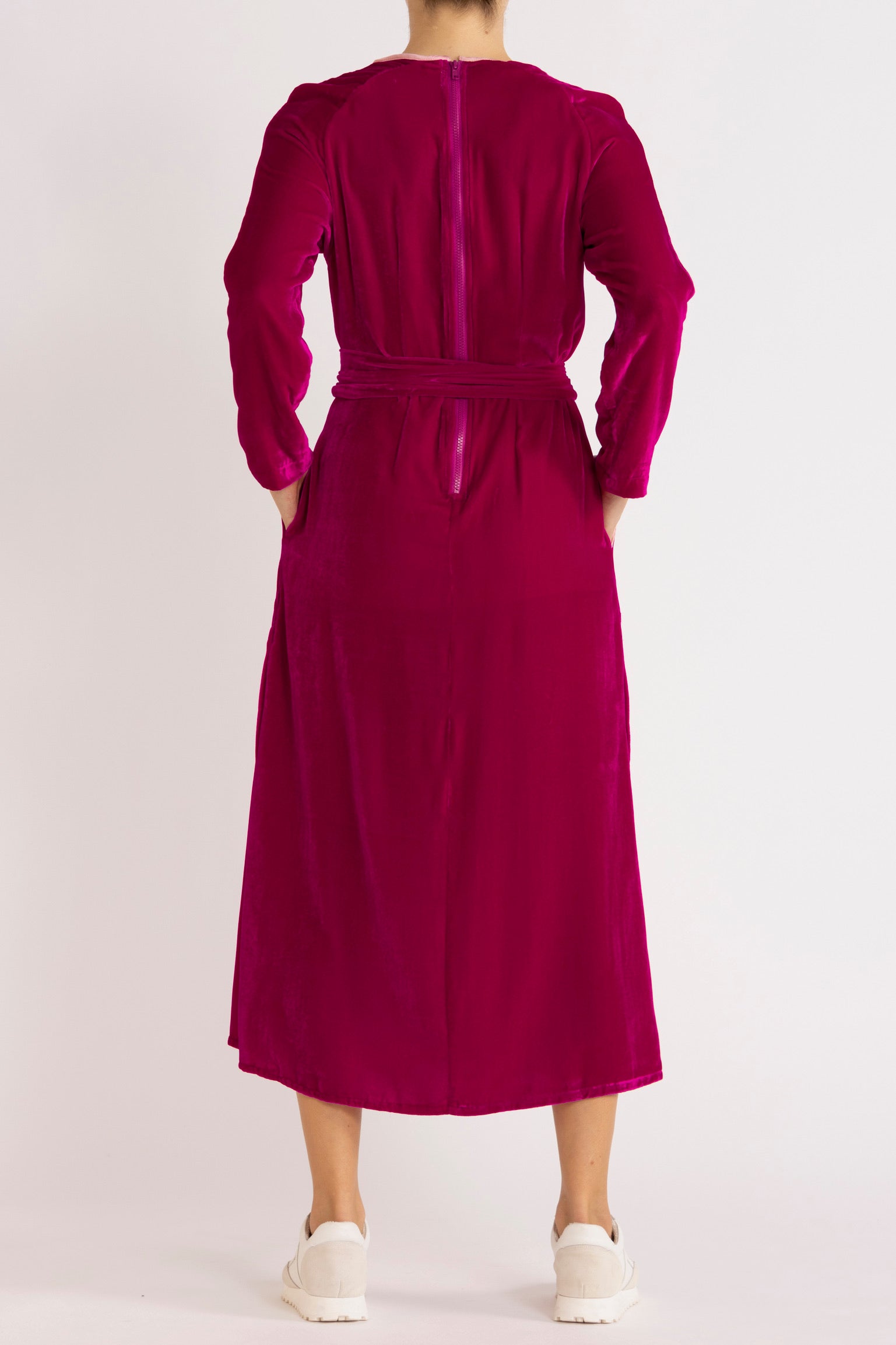 Aude Silk Velvet Dress