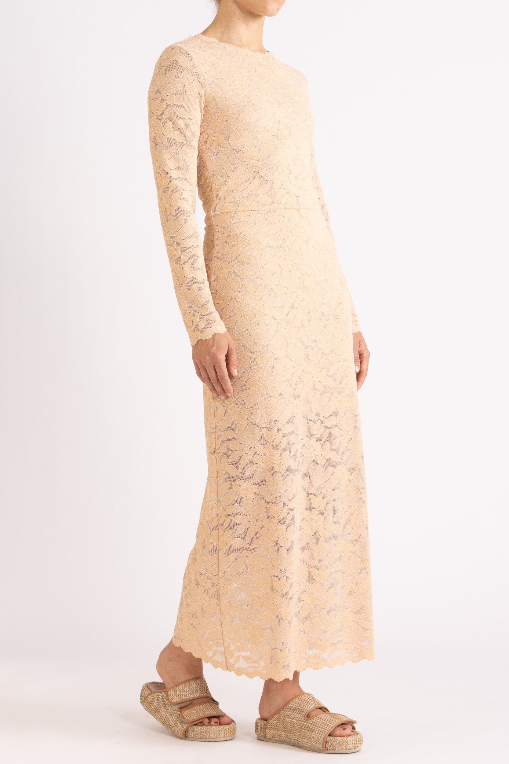 Erika Lace Long Sleeve Dress