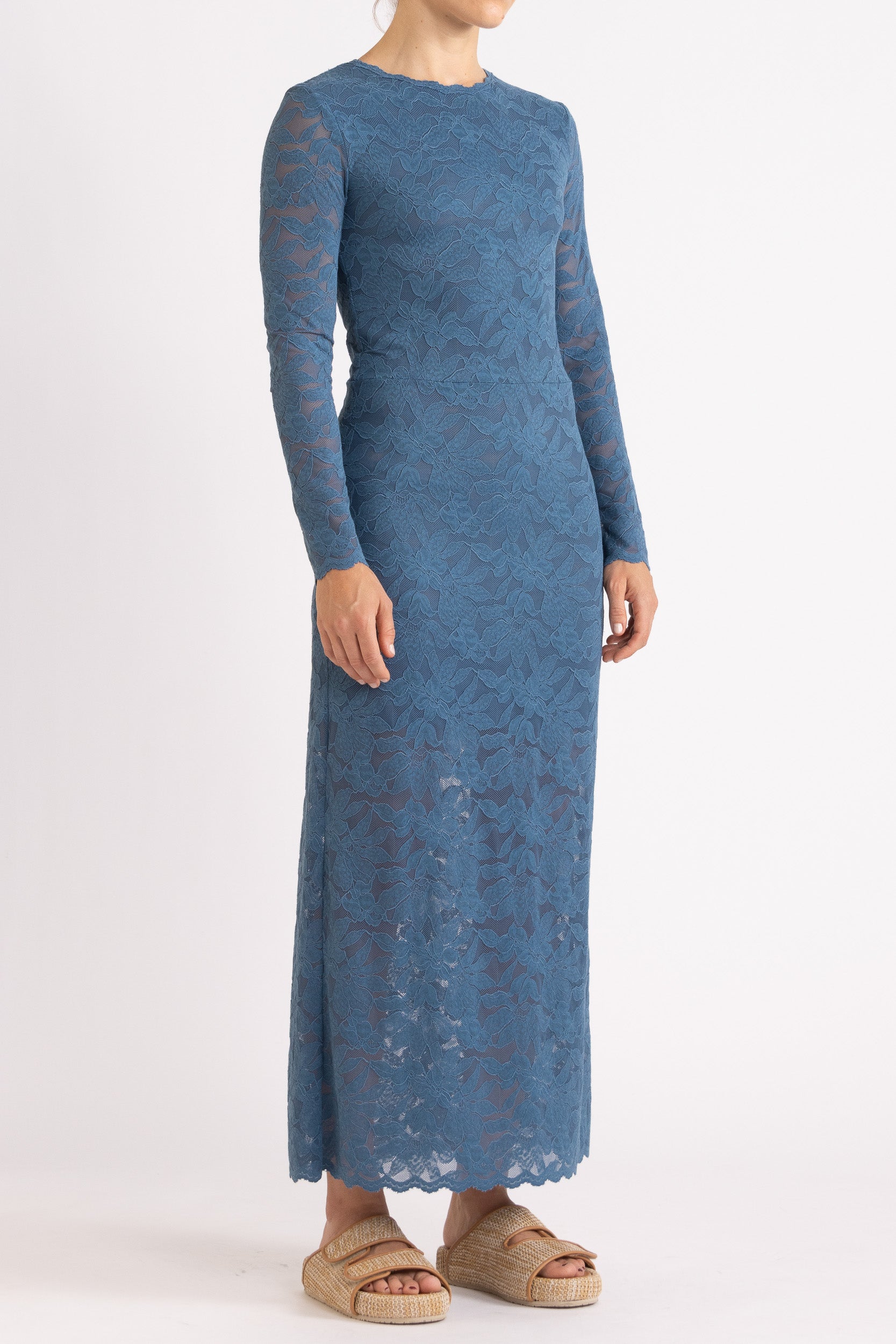 Erika Lace Long Sleeve Dress